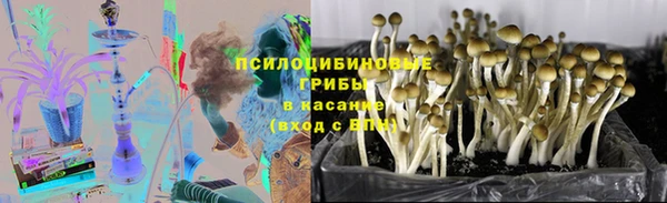 круглые Алексеевка