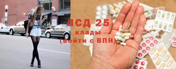 стафф Алексин