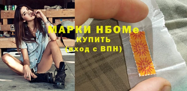 стафф Алексин