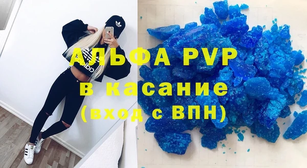 стафф Алексин