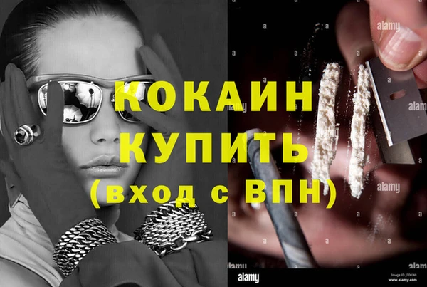 стафф Алексин
