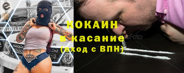 стафф Алексин