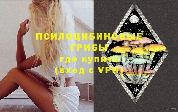 МДПВ Алзамай